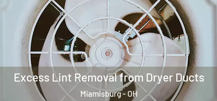  Excess Lint Removal from Dryer Ducts Miamisburg - OH
