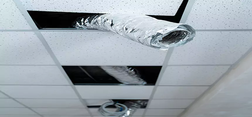 Our Air Duct Pet Hair Removal Services in Miamisburg, OH