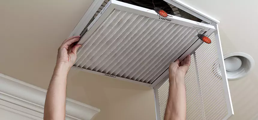 Our Insect Removal from Air Ducts Services in Miamisburg, OH