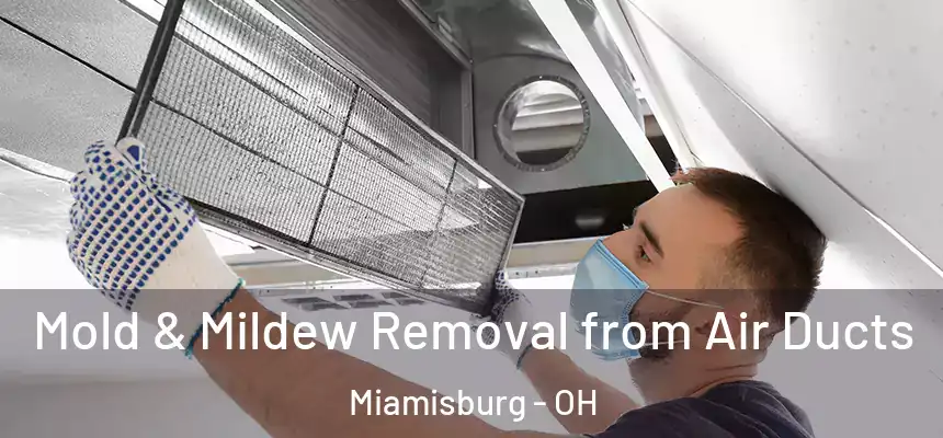 Mold & Mildew Removal from Air Ducts Miamisburg - OH