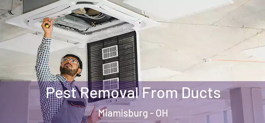  Pest Removal From Ducts Miamisburg - OH