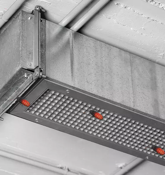 About Air Duct Cockroach Removal in Miamisburg, OH