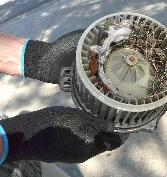 About Air Duct Mice Removal in Miamisburg, OH