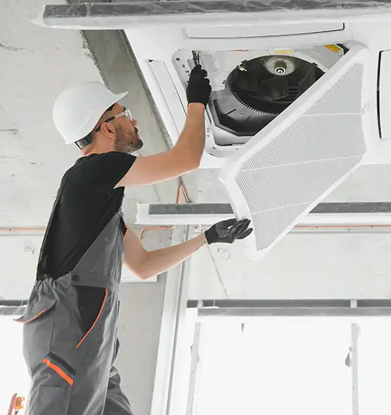 About Air Duct Rodent Removal in Miamisburg, OH